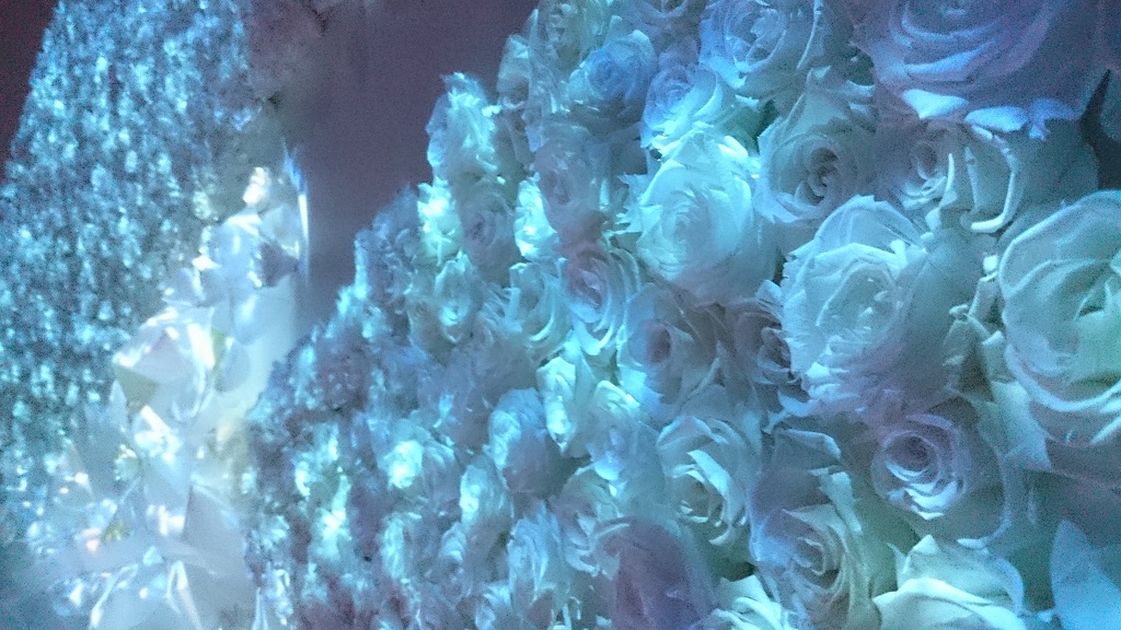 flowersbynaked_氷のバラ3